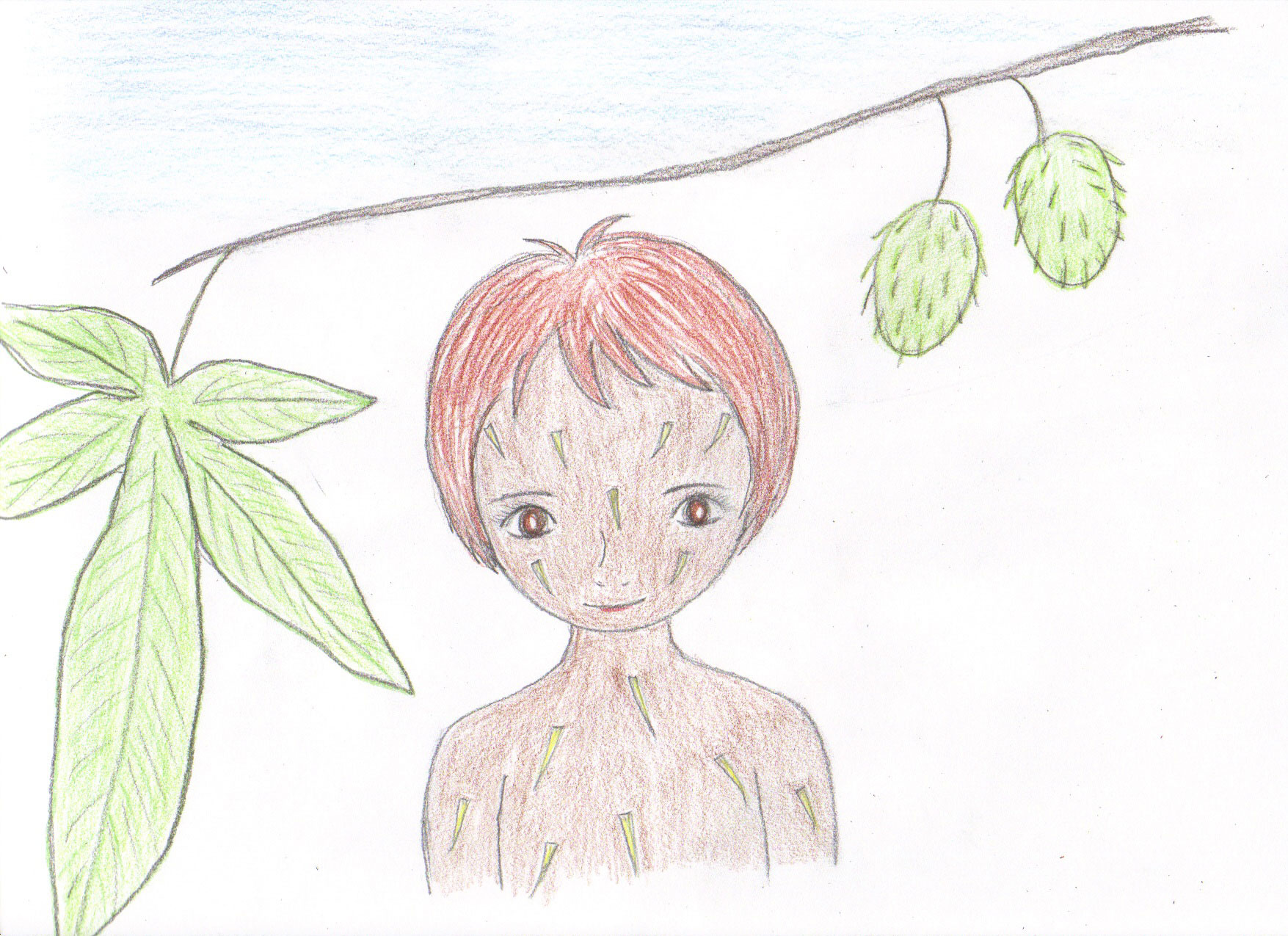 Aesculus