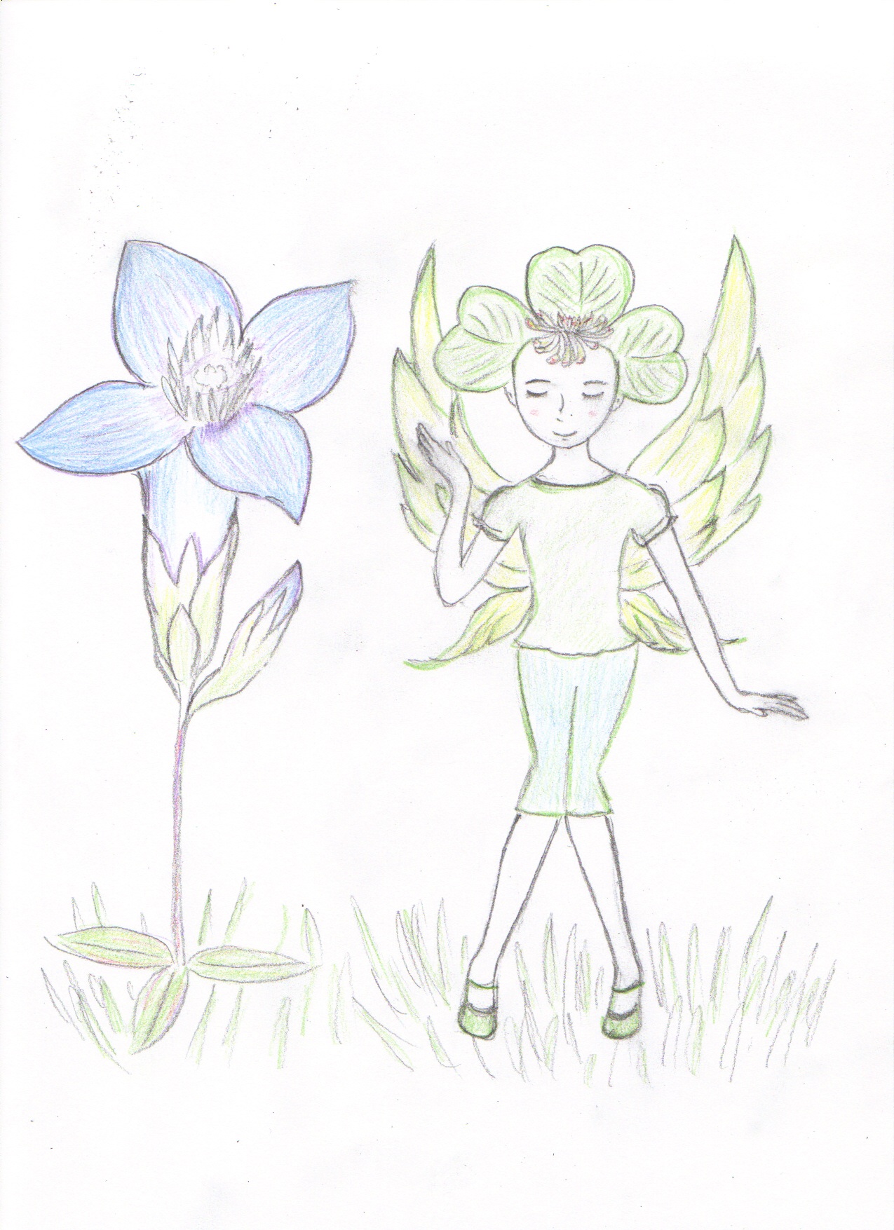 Clover