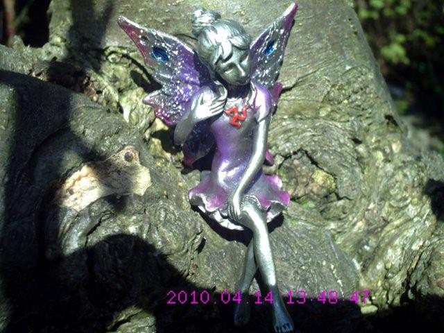 Manx Fairy